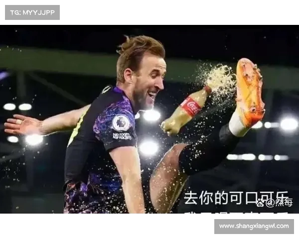 热刺旧将波耶特：孙兴慜带着荣誉离队 凯恩却未能捧起奖杯