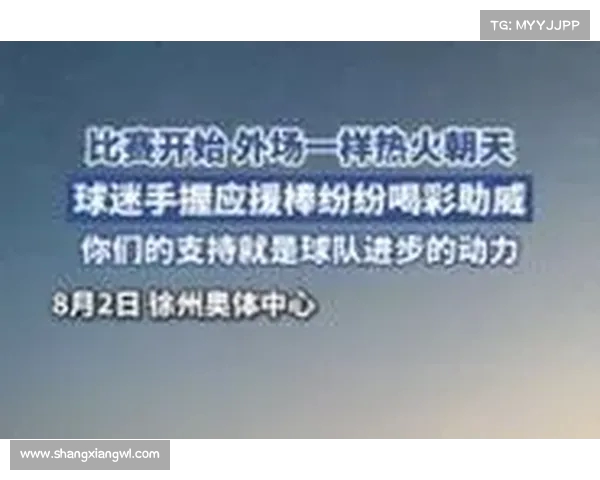 法甲球迷激情应援：为爱而战的力量与情感传递