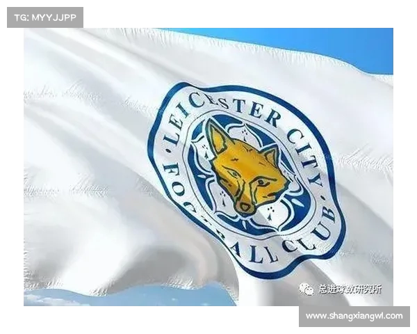 英超球队体检报告分析球员健康状况与伤病风险评估