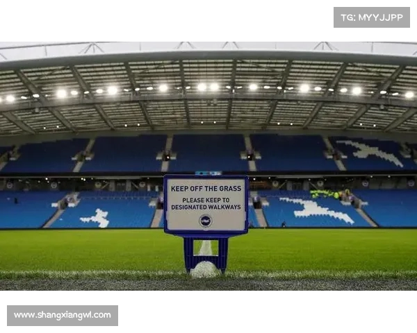 英超官方宣布因特殊原因停赛并提供详细赛季调整方案