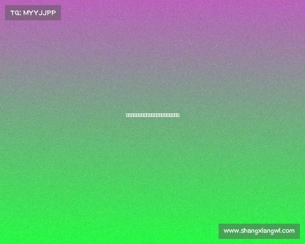 法甲球迷激情应援：为爱而战的力量与情感传递